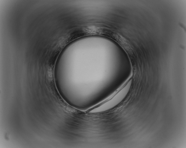 X0000097870469200804041555