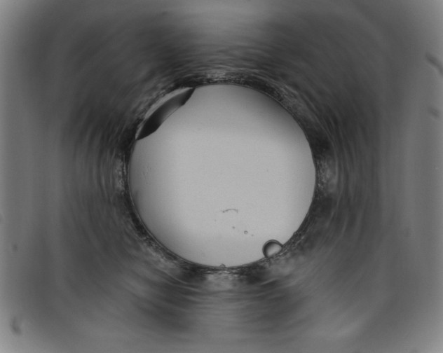 X0000097870470200804041555