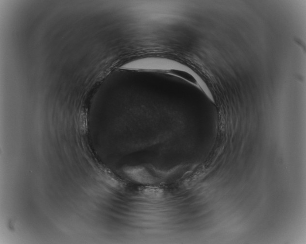 X0000097870471200804041555