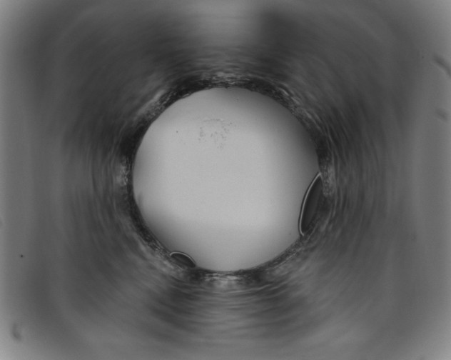 X0000097870472200804041555