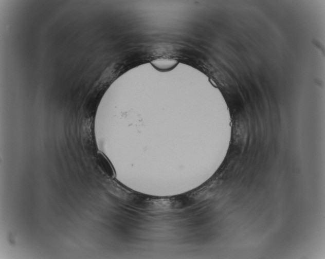 X0000097870473200804041555