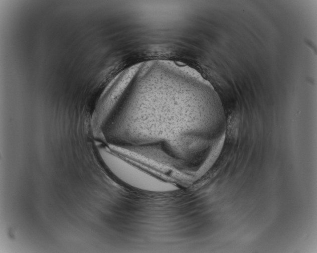 X0000097870474200804041555