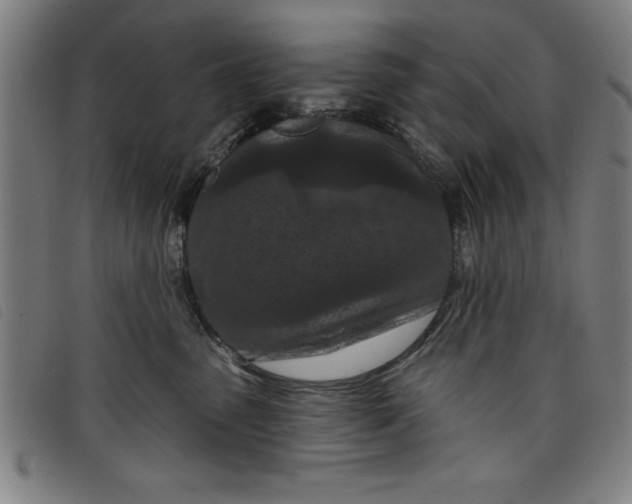 X0000097870475200804041555