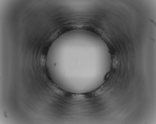 X0000097870476200804041555