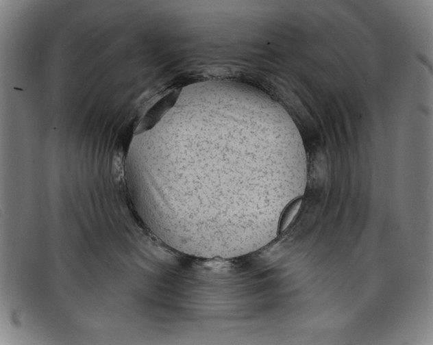 X0000097870478200804041555