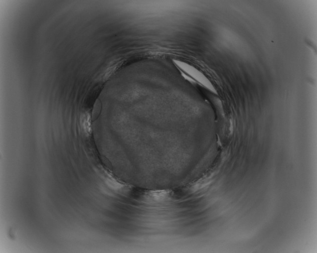 X0000097870479200804041555