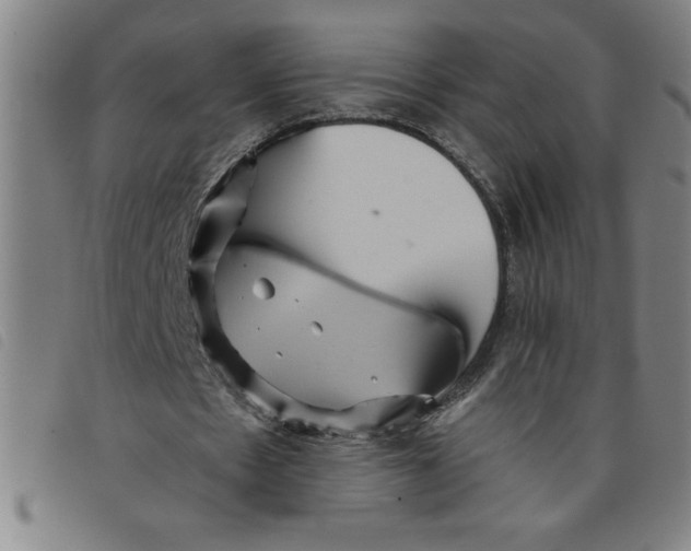 X0000097870481200804041554