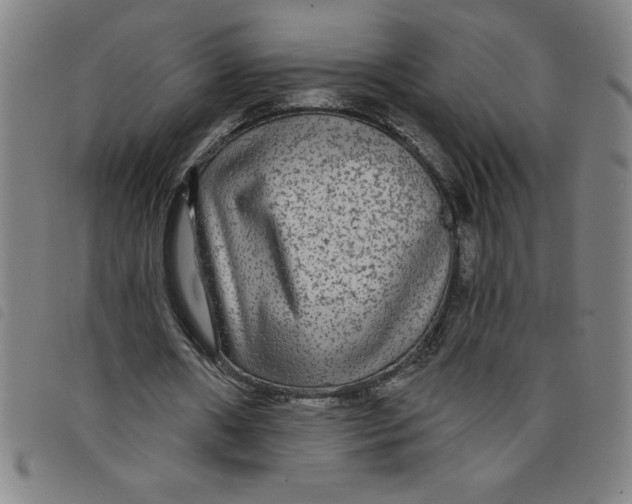 X0000097870482200804041554
