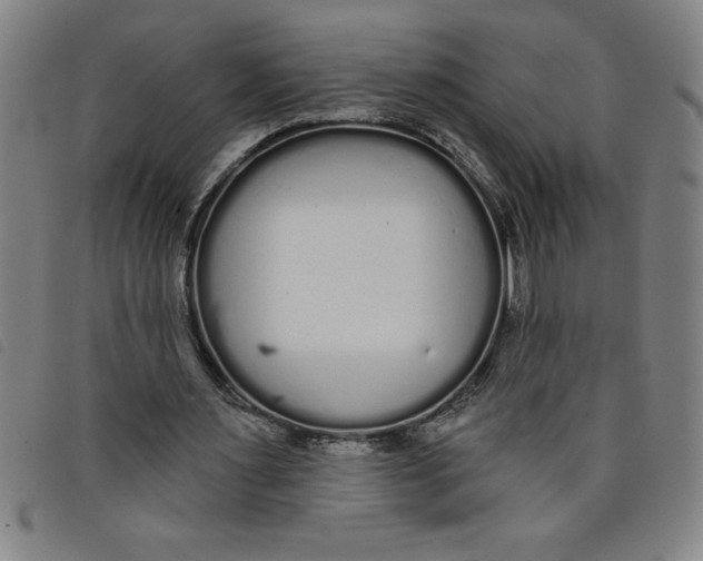 X0000097870483200804041554