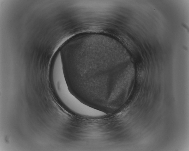 X0000097870484200804041554