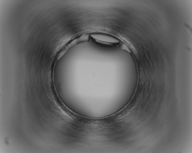 X0000097870485200804041554