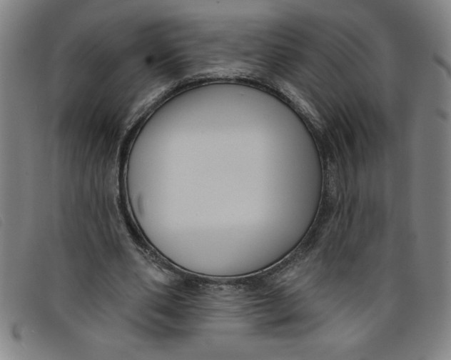 X0000097870486200804041554