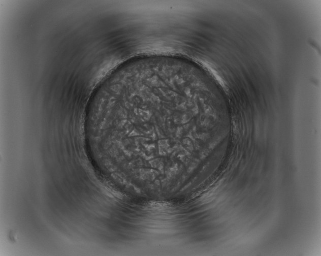 X0000097870487200804041554