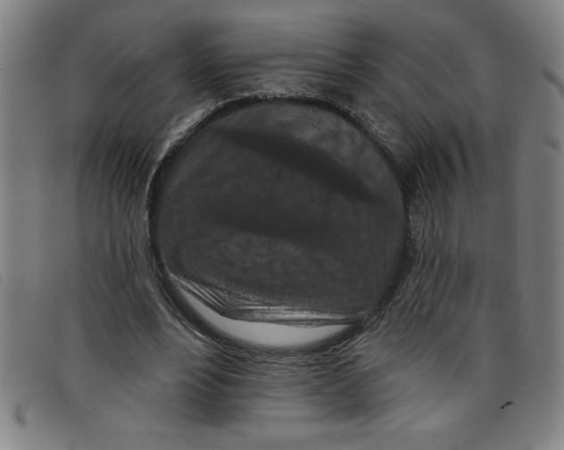 X0000097870488200804041554