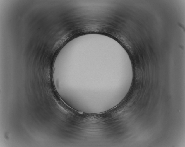 X0000097870489200804041554