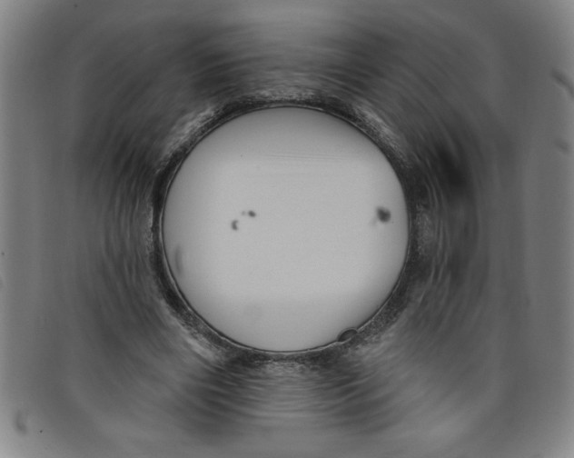 X0000097870490200804041554