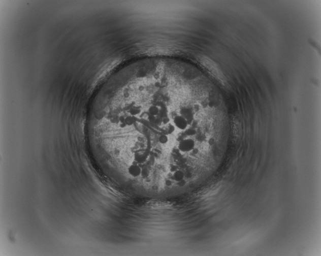 X0000097870491200804041554