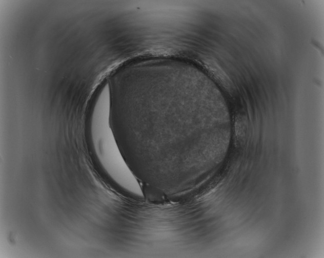 X0000097870492200804041554