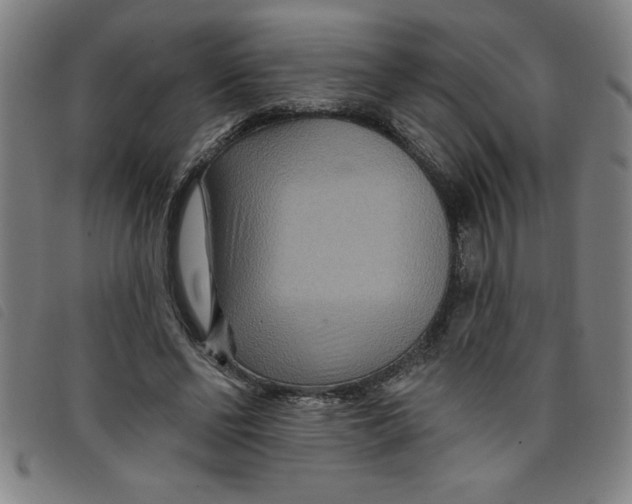 X0000097870494200804041554
