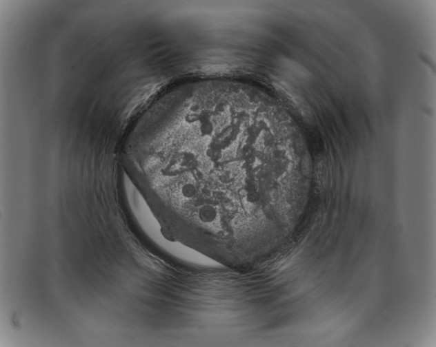 X0000097870495200804041554