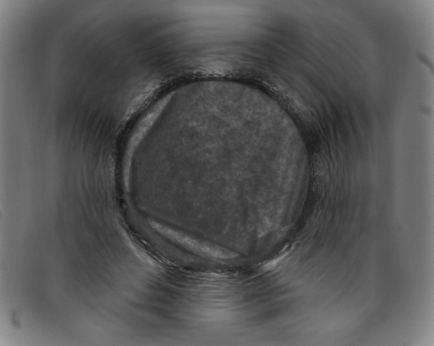 X0000097870496200804041554
