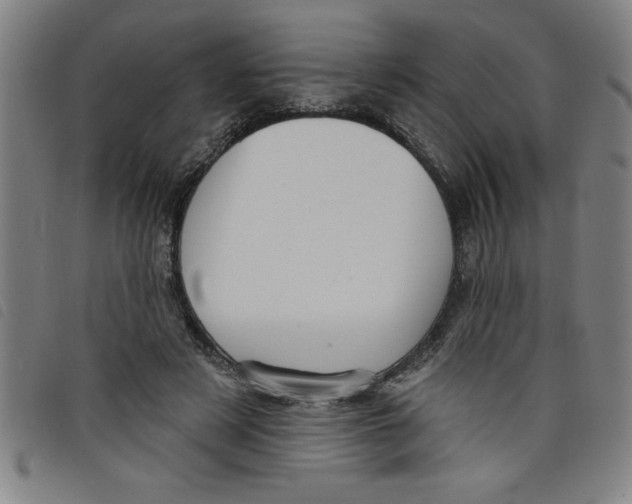 X0000097870497200804041554