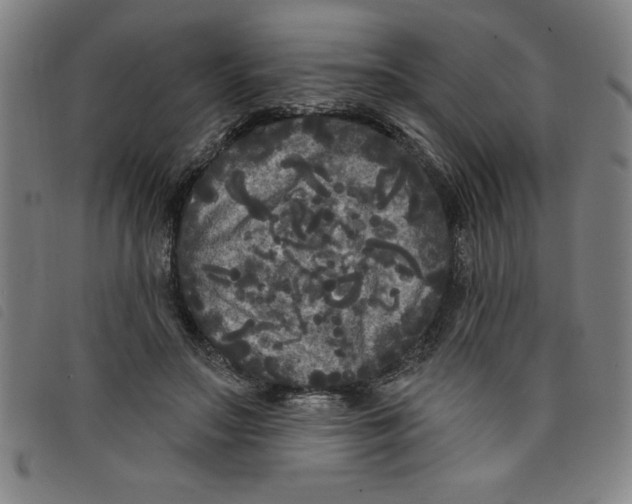 X0000097870499200804041554
