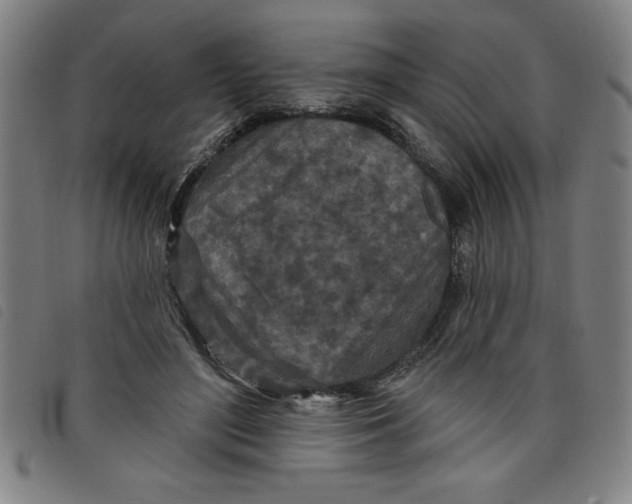 X0000097870500200804041554