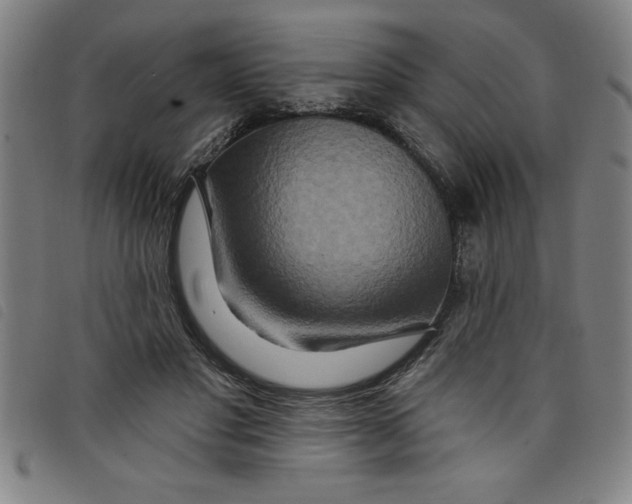 X0000097870501200804041554