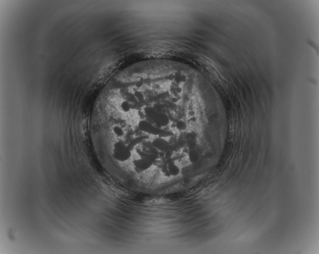 X0000097870503200804041554