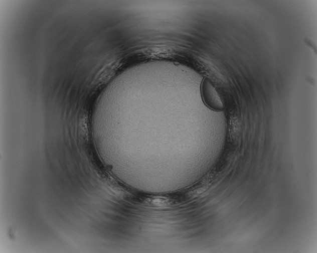 X0000097870506200804041554