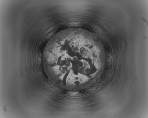 X0000097870507200804041554