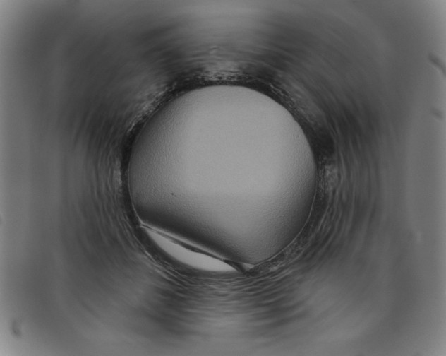 X0000097870508200804041554