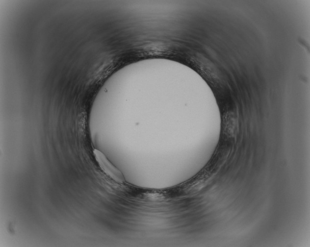 X0000097870509200804041554