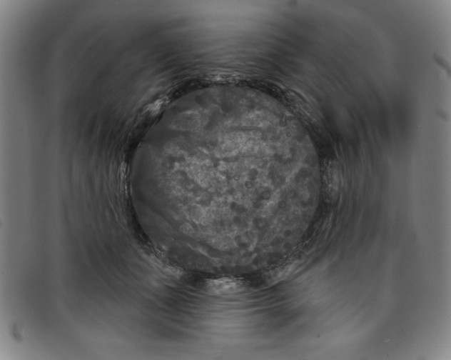 X0000097870511200804041554