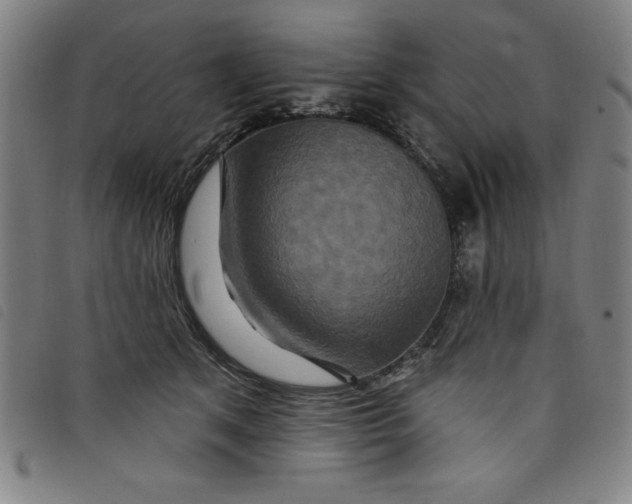 X0000097870513200804041554