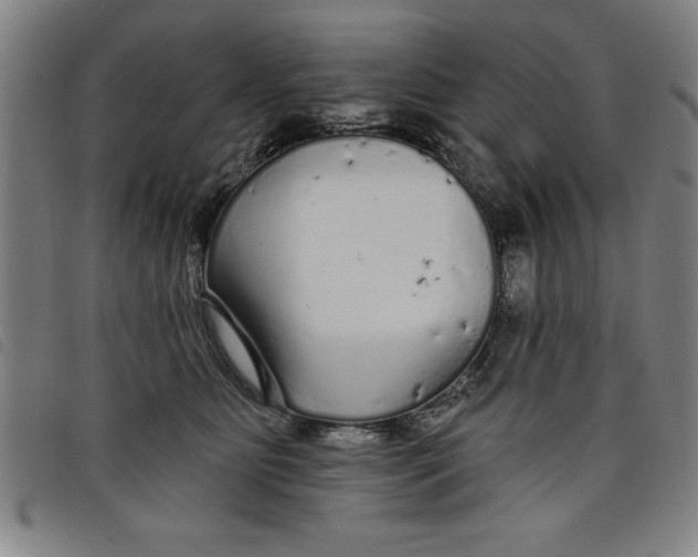 X0000097870515200804041554