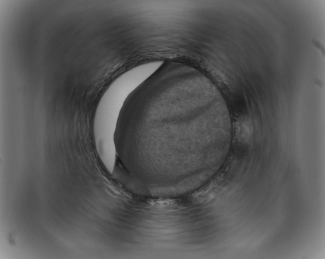 X0000097870517200804041554