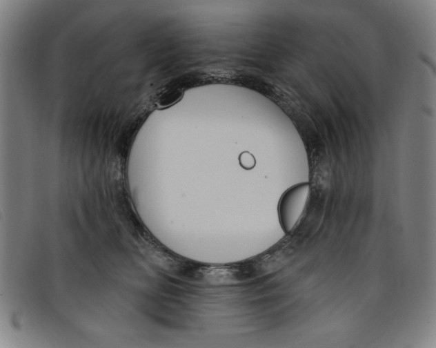 X0000097870518200804041554
