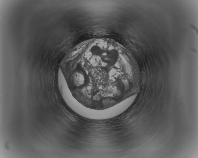 X0000097870519200804041554