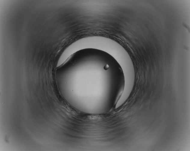 X0000097870520200804041554
