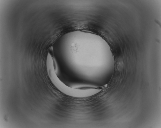X0000097870521200804041554