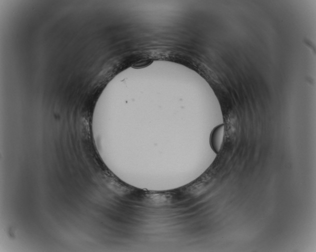 X0000097870522200804041554