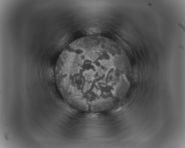 X0000097870523200804041554