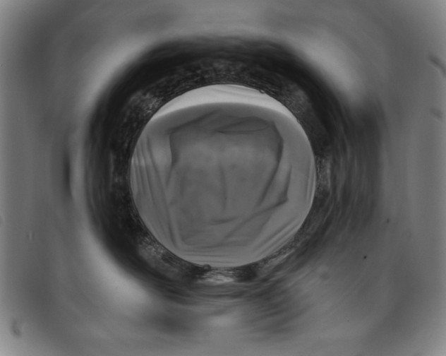 X0000097870526200804041553