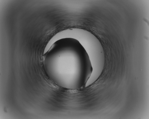 X0000097870528200804041553