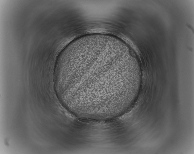 X0000097870529200804041553