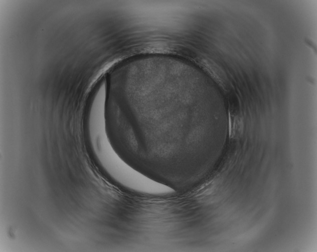 X0000097870531200804041553