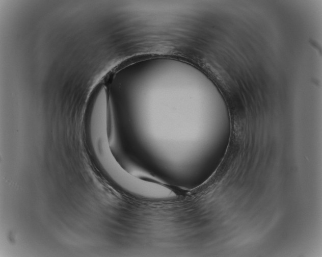 X0000097870532200804041553