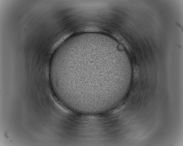 X0000097870533200804041553